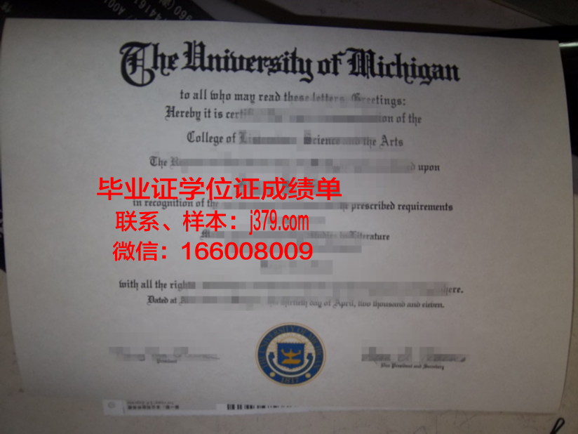 国立技术大学博士毕业证：知识与智慧的象征