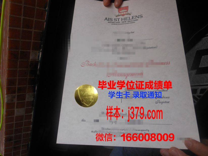 国政大毕业证：承载荣誉与责任的烫金证书