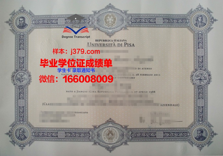 比萨大学diploma证书(比萨大学英文)