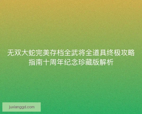 无双大蛇完美存档全武将全道具终极攻略指南十周年纪念珍藏版解析