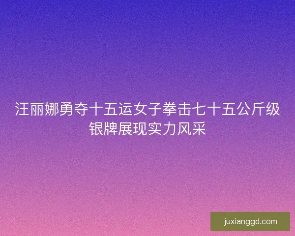 汪丽娜勇夺十五运女子拳击七十五公斤级银牌展现实力风采